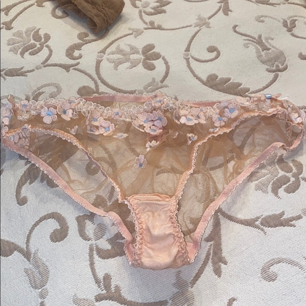 Agent Provocateur Pink Sheer Embroidered Floral Bikini Panty